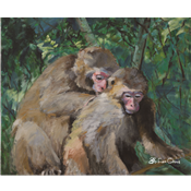 母子情深(台灣獼猴)