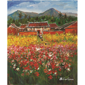 波斯菊盛開的美濃古厝