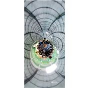 202151 國歡好動會_210507_0.jpg