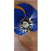 202151 國歡好動會_210507_1.jpg