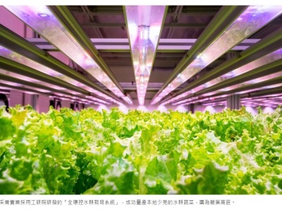 全環控智慧溫室系統 打造台灣農業新藍海