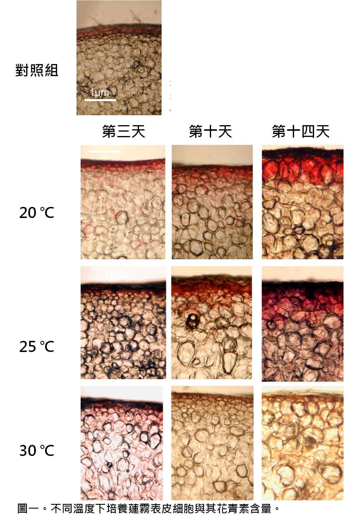 技術新知 國歡植物保護事業