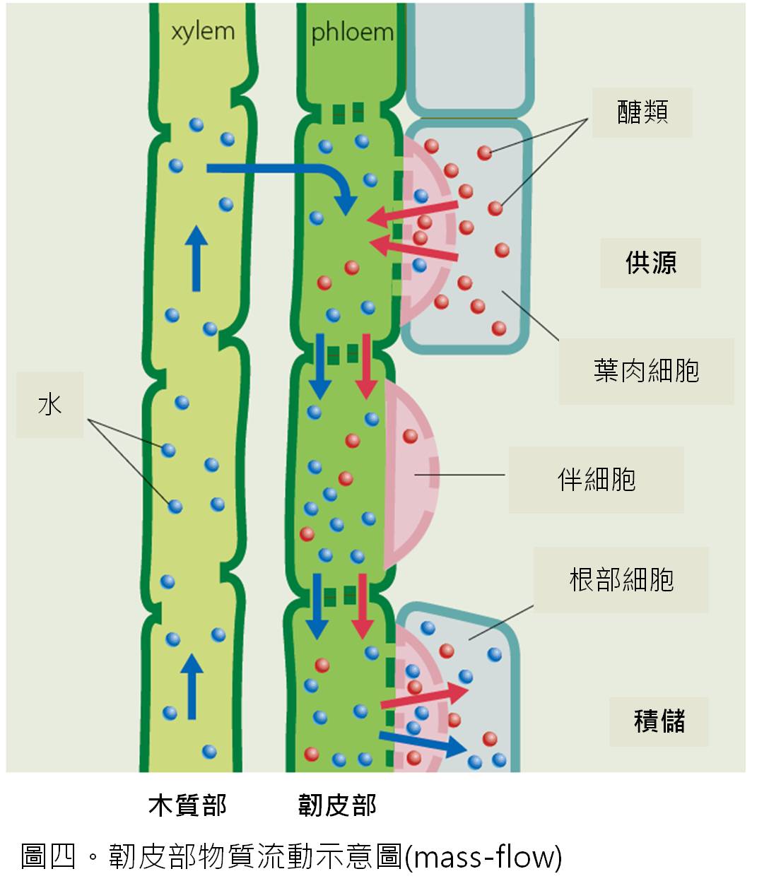 技術新知 國歡植物保護事業